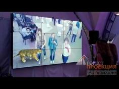 Компания Гефест Капитал предоставила Digital активность с дополненной реальностью 