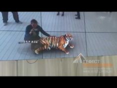 Компания Гефест Капитал предоставила в аренду видеостену с программным обеспечением.