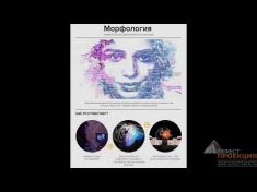 Digital-активность «Морфология»