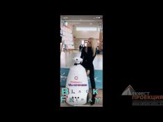 Компания «Гефест Проекция РТ» предоставила в аренду  виртуального промоутера