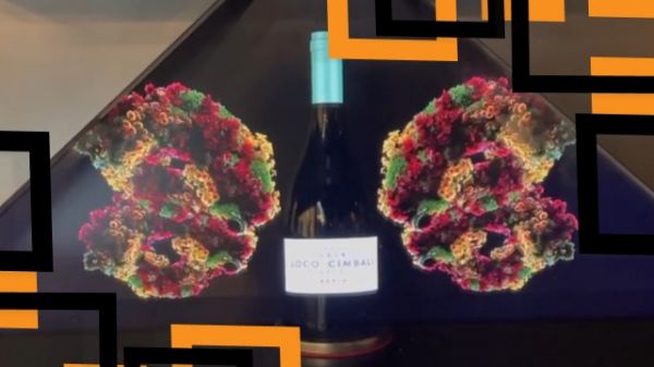 Компания Гефест Проекция г. Сочи произвела контент на голографическую пирамиду для винодельни 