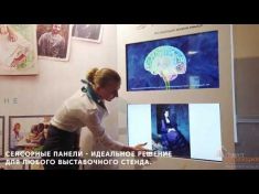 Филиал «Гефест Проекция» в Санкт-Петербурге совместно с компанией «Marketing Division»