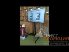 Теперь трансляцию матчей, можно посмотреть в салонах Теле 2