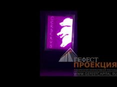 Компания Гефест осуществила 3D mapping проекции на выставке скульптур « In Dante Veritas” 