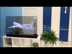 Наша команда предоставила прозрачный LCD экран