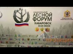 Интерактивный стол на Национальном лесном форуме 