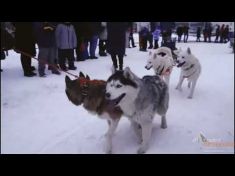 Калуга - Новогодняя столица России 2021