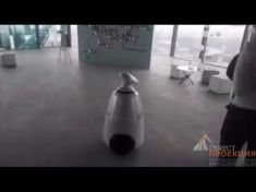 Промо робот R.Bot 