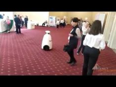 Компания Gefest Capital предоставила в аренду рекламного rBot