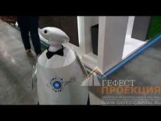 Компания Гефест Капитал предоставила в аренду - рекламного робота, на выставку Пир 2017