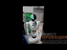 Промобот v3 от Гефест Капитал для стенда компании Гринатом на выставку 