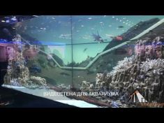 Ежегодный Петербургский Международный Газовый Форум (ПМГФ-2018)
