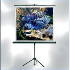 MW Экран на треноге STARFLEX (Tripod Economy) 150 x 150