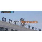 Виртуальный промоутер для Новосибирского аэропорта «Толмачево»